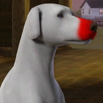 ChinaRose_NoseSnip01.package