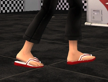 Bloom_FlipFlopsAccessory_TF.rar