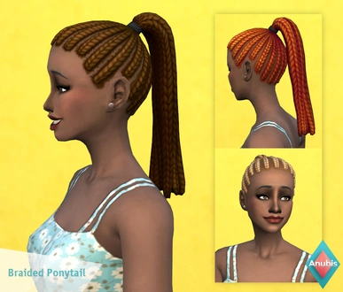 anubis360_CtA_BraidedPonytail_TAEF.zip