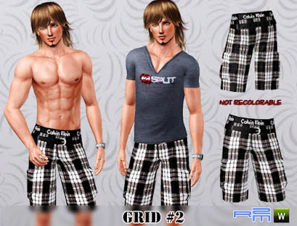 R2M Grid #02.sims3pack