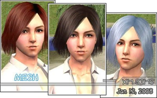 XMS_Flora_MeshHair071.zip