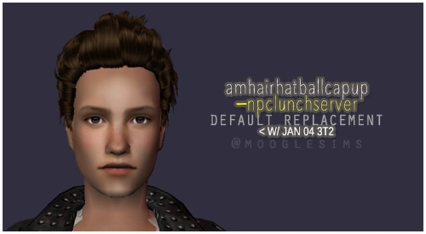 hairhatballcapup_npclunchserver.zip