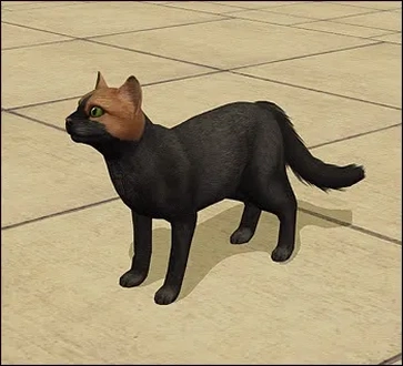 Macademia Miller.rar