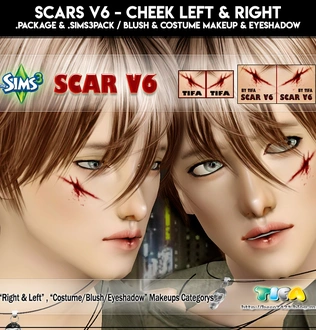 Tifa_ScarsV6_Blush_Costume_Eyeshadow.zip