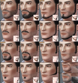 SLU_DR_Beards.zip