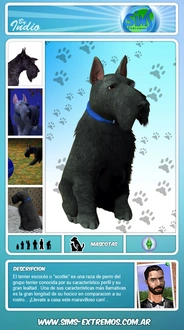 Sims-Extremos_Indio_Scottie.rar