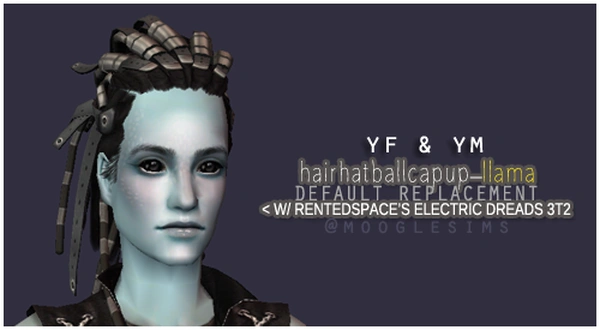 hairhatballcapup_llama.zip