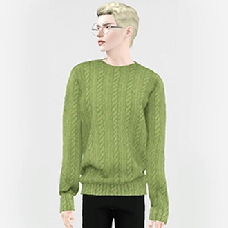 BLINKSIMS_SOMEDAY_SWEATER.package