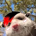 KatTelvanni's logo or avatar