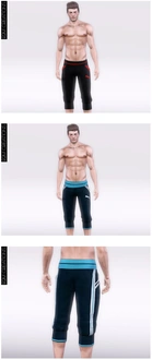R2M_M_Puma03.sims3pack