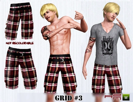 R2M Grid #03.sims3pack