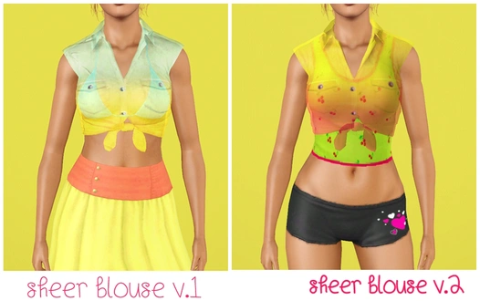 Everlasting-Garden_SheerBlouse_AF.zip