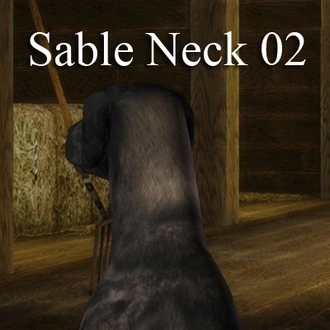 ChinaRoseSableNeck02.package