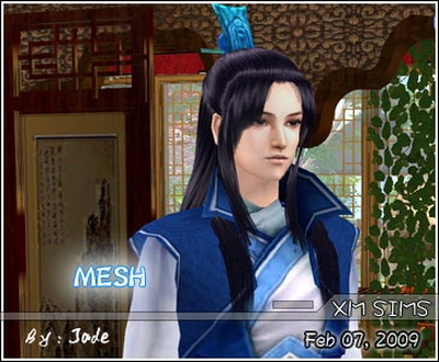 MESH-hair08_madebyjade.zip