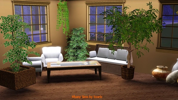 souris_plantes-int-01.zip