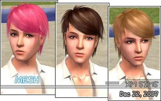 XMS_Flora_MeshHair070.zip