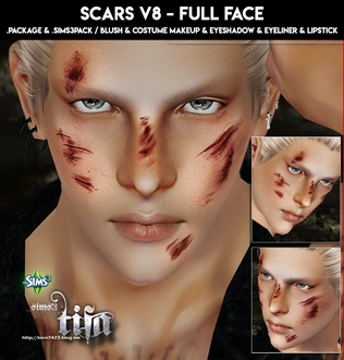 Tifa_ScarsV8_Blush_Costume_Eyeliner_Eyeshadow_Lipstick.zip