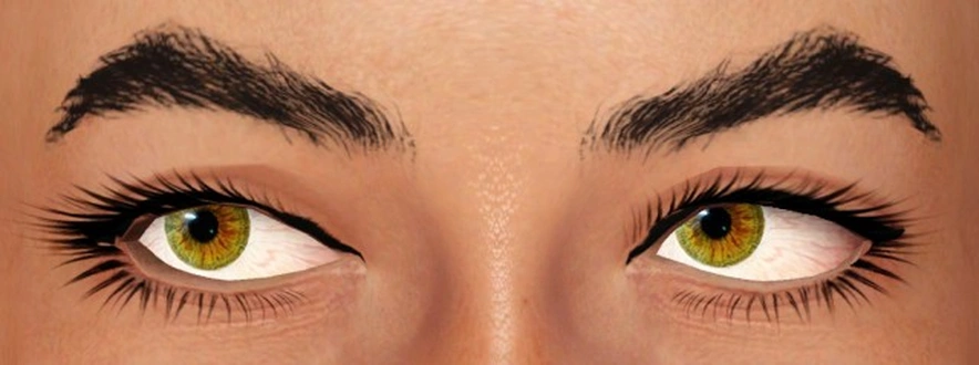 ulito4ka_Eyebrows_N2Maya_TAEF.zip