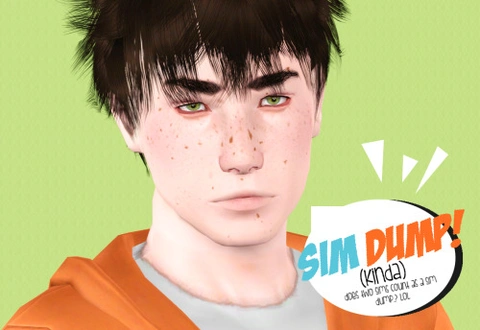plumbobsophy_Sim_Roman.rar