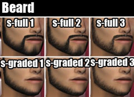 SLU_Beard_Beard2.zip