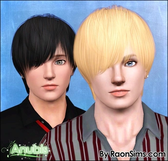 anubis360_RaonMHair06Fix_16.7k_TAEM.zip
