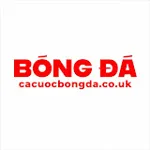 cacuocbongdacouk's avatar