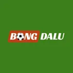 bongdalu888com's avatar