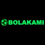 bolakamiid's avatar