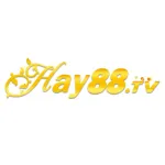 hay888gbnet's avatar