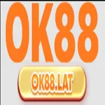 ok88lat's avatar
