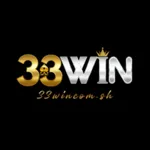33wincomsh's avatar