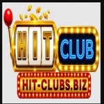 hitclubsbiz01's avatar