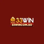33wincomso1's avatar