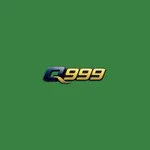 q999game's avatar