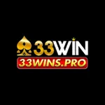 33winspro1's avatar