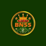 bn55gg's avatar