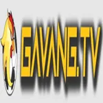 gavangtvllcvn's avatar