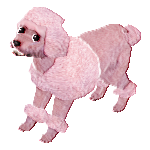 pinkpoodleclub's avatar