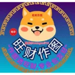 wangcaizuotu's avatar