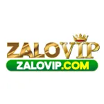 zaloviptop's avatar