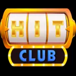 hitclubrunvn's avatar