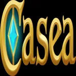 caseaitcasino's avatar