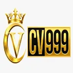 playcv999's avatar