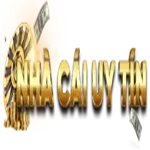 nhacaiuytin5to's avatar
