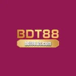 bdt88uscom's avatar