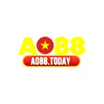 ao88today's avatar
