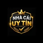nhacaiuytinnwin's avatar
