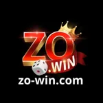 zowincom's avatar