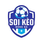 soikeobongdaid's avatar