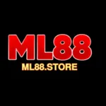 ml88store's avatar